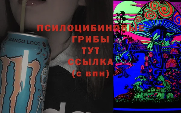 первитин Алексеевка