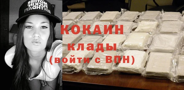 гашик Осинники