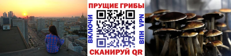 mega сайт  Нижний Ломов  Галлюциногенные грибы Magic Shrooms 